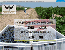 Tablet Screenshot of okuzgozusarapcilik.com